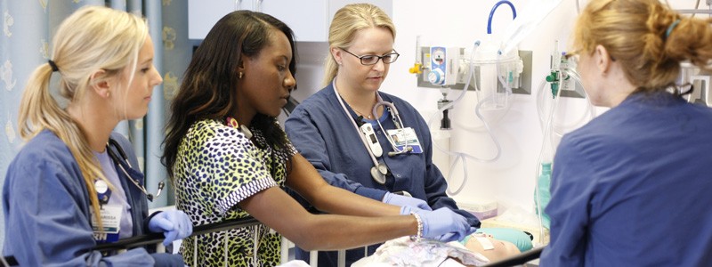 photo-professionaleducation