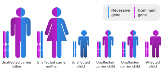 graphic-sicklecellgene
