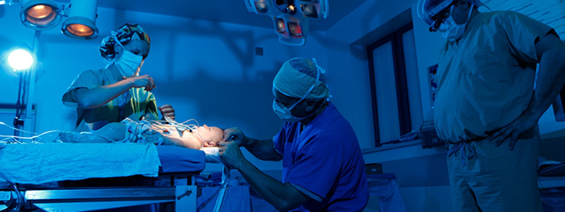 photo-neuro-collab-main